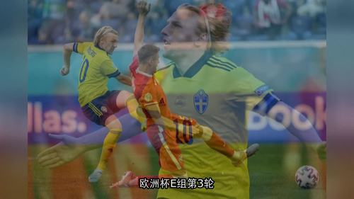 欧洲杯瑞典vs波兰现场
